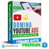 Curso Domina YouTube Ads - Fernando Martin