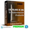 Curso Los Pilares de una Transformación Profunda - Gabriel Guerrero