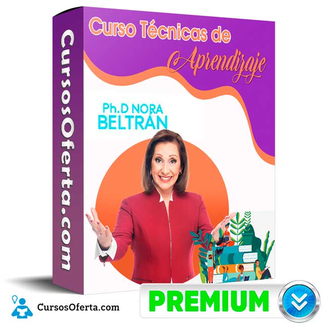 Curso Técnicas de Aprendizaje – Nora Beltrán 1 Curso Técnicas de Aprendizaje – Nora Beltrán