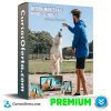 Entrenamiento para Perros de Hogar - Sthiwar Guzman