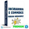 Incubadora E-Commerce de Fabian Hernandez