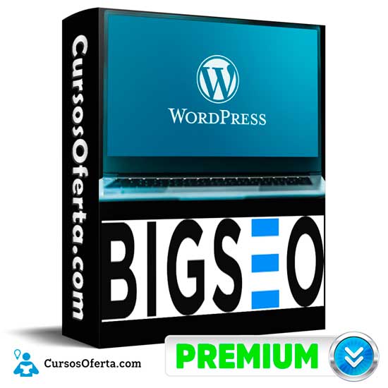 Curso de WordPress de Big Seo 1 Curso de WordPress de Big Seo