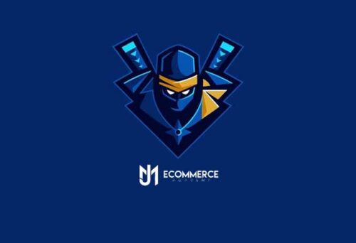 Curso Dropshipping Ninja de Manu y Josef 3 curso dropshipping ninja de manu y josef 6528f4f845e87
