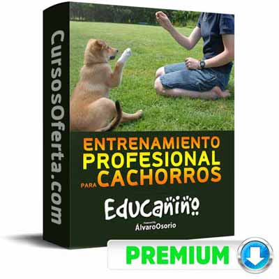 Curso Educanino – Álvaro Osorio 1 curso educanino alvaro osorio 652db394ab544