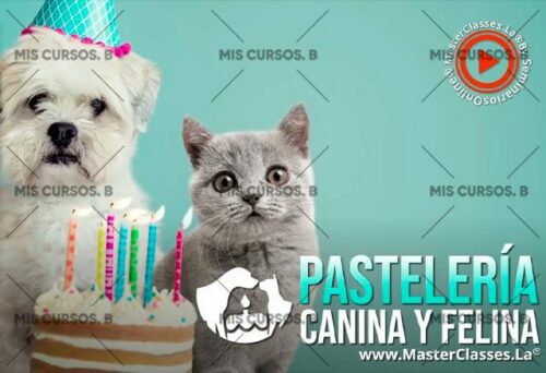 pasteleria canina y felina 652b95f61c7eb