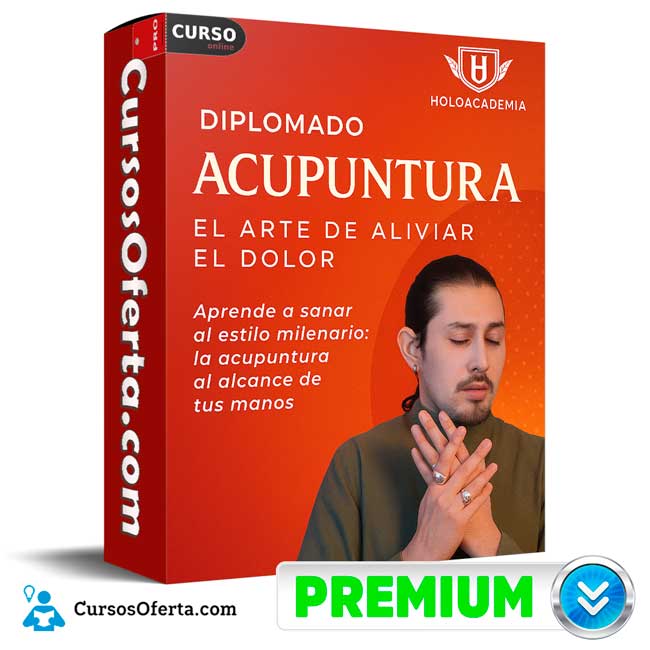 Diplomado Acupuntura el Arte de Aliviar el Dolor de Holoacademia 1 Diplomado Acupuntura el Arte de Aliviar el Dolor de Holoacademia
