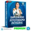 Diplomado Fitoterapia Integral de Holoacademia