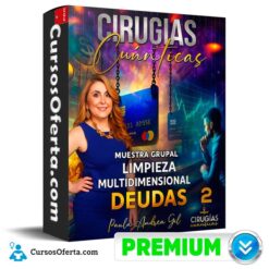 Muestra Grupal de Cirugías Cuánticas Limpieza Multidimensional Deudas 2 de Paula Andrea Gil