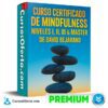 Curso Certificado de Midfulness. Niveles I, II, III & Master de David Bejarano