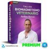 Taller Biomagnetismo Veterinario de Avelino Hervas