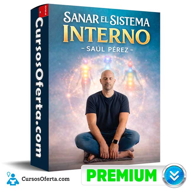 Sanar el Sistema Interno de Saúl Pérez 1 Sanar el Sistema Interno de Saúl Pérez